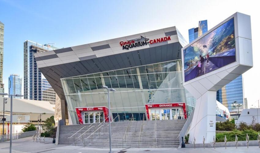 3 Bedroom Beside Cn Tower With Parking Downtown Toronto Zewnętrze zdjęcie